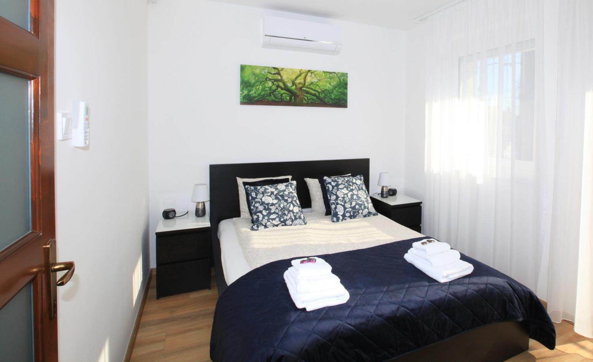 Paskal-lux With Free Parking And Ac Apartament *