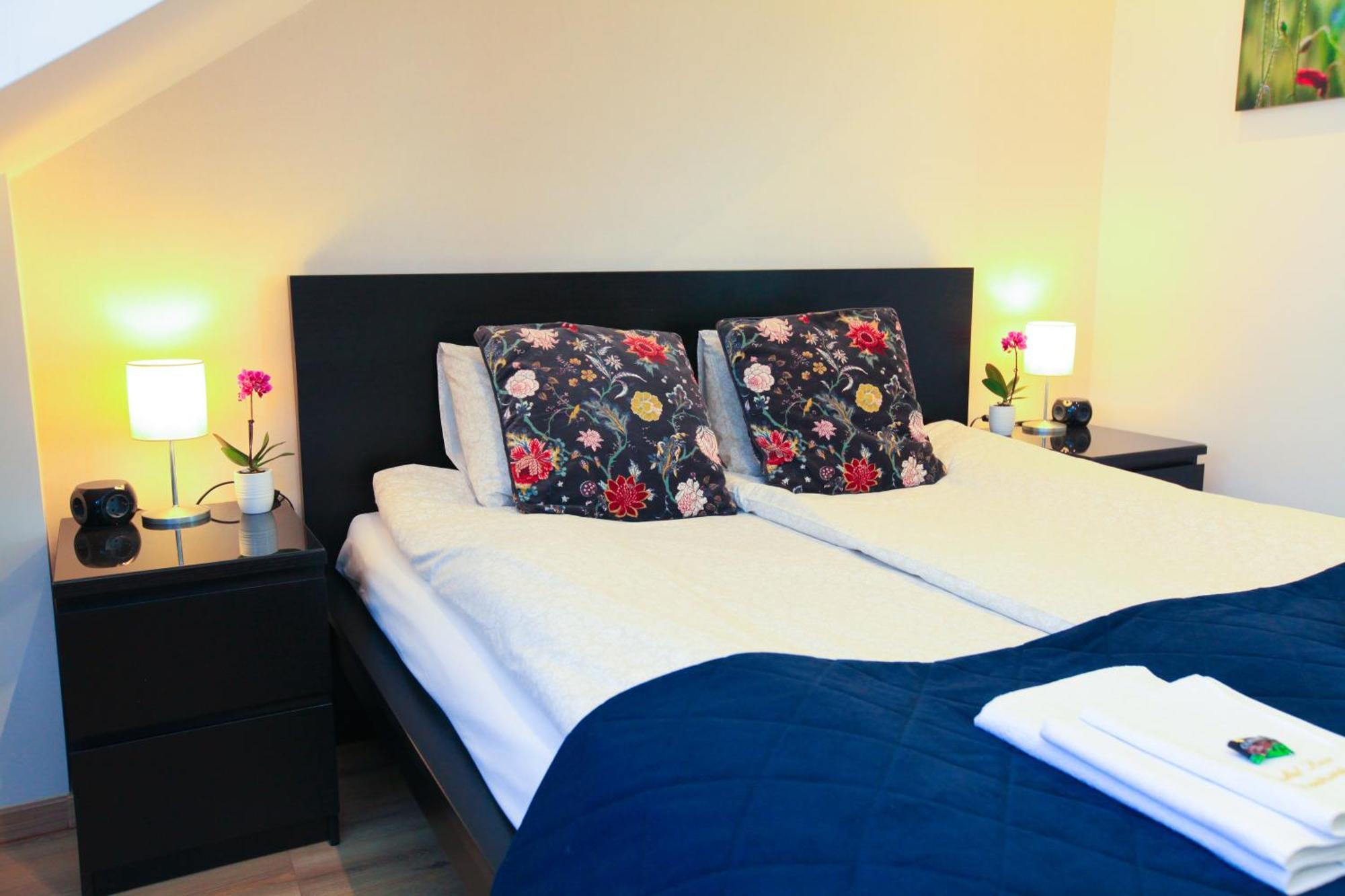 Paskal-lux With Free Parking And Ac Budapeszt