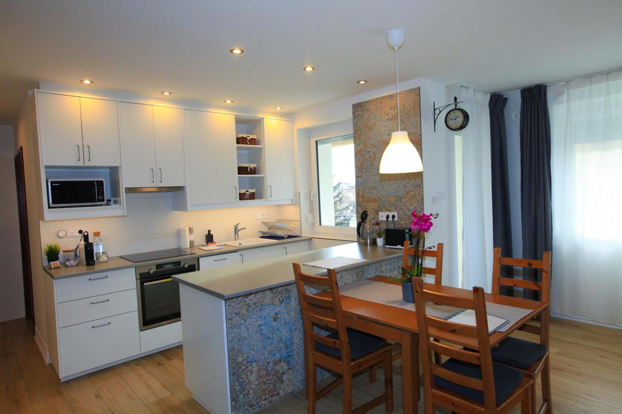 Paskal-lux With Free Parking And Ac Apartament *